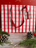Bold Red and Pink Gingham Block Printed Medium Gift Bag