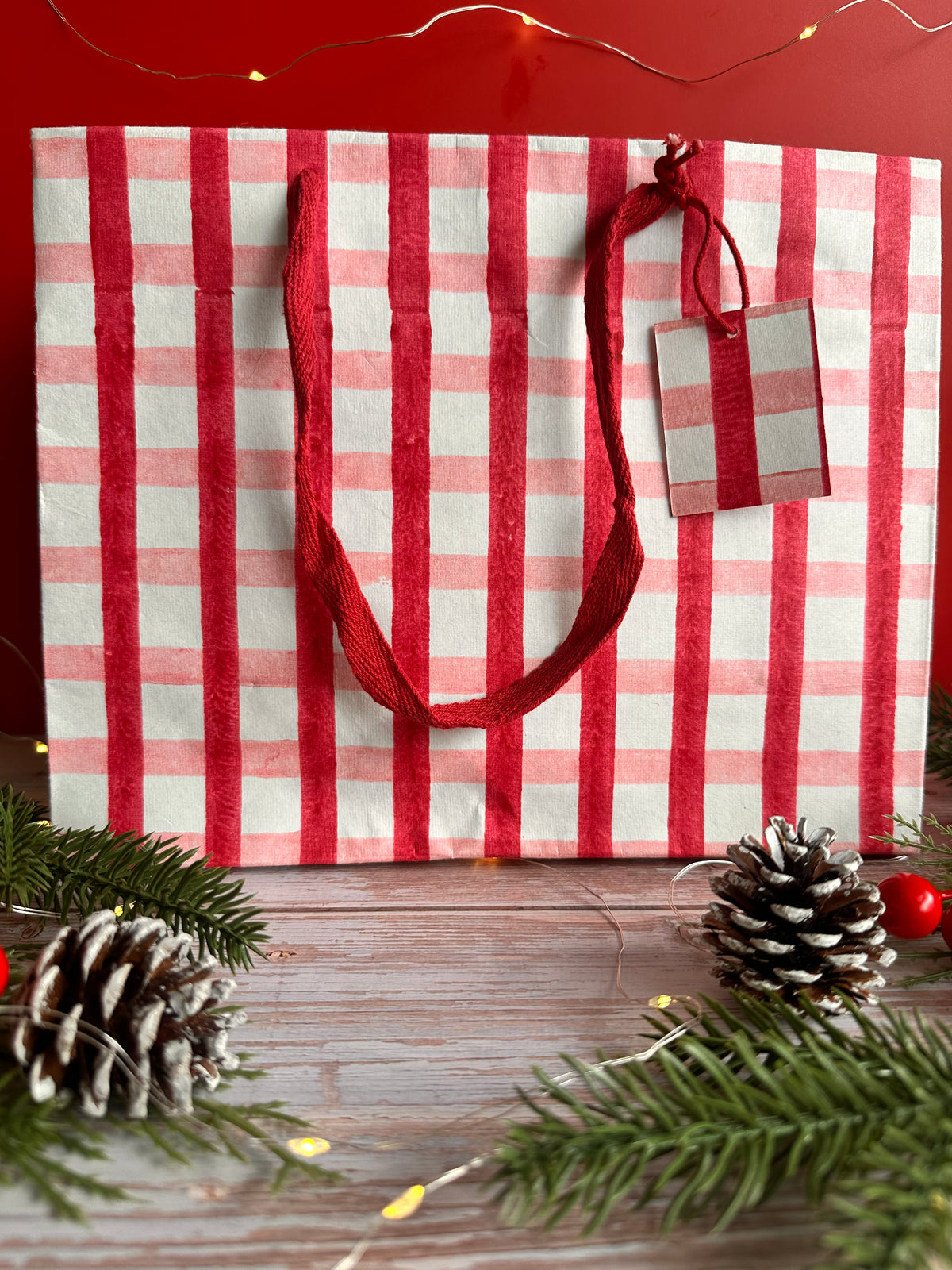 Bold Red and Pink Gingham Block Printed Medium Gift Bag