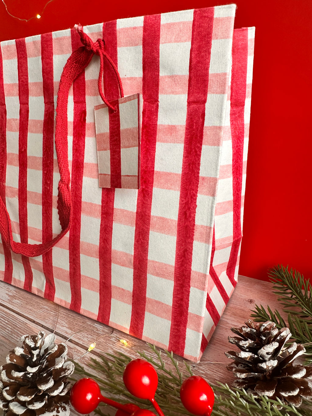 Bold Red and Pink Gingham Block Printed Medium Gift Bag