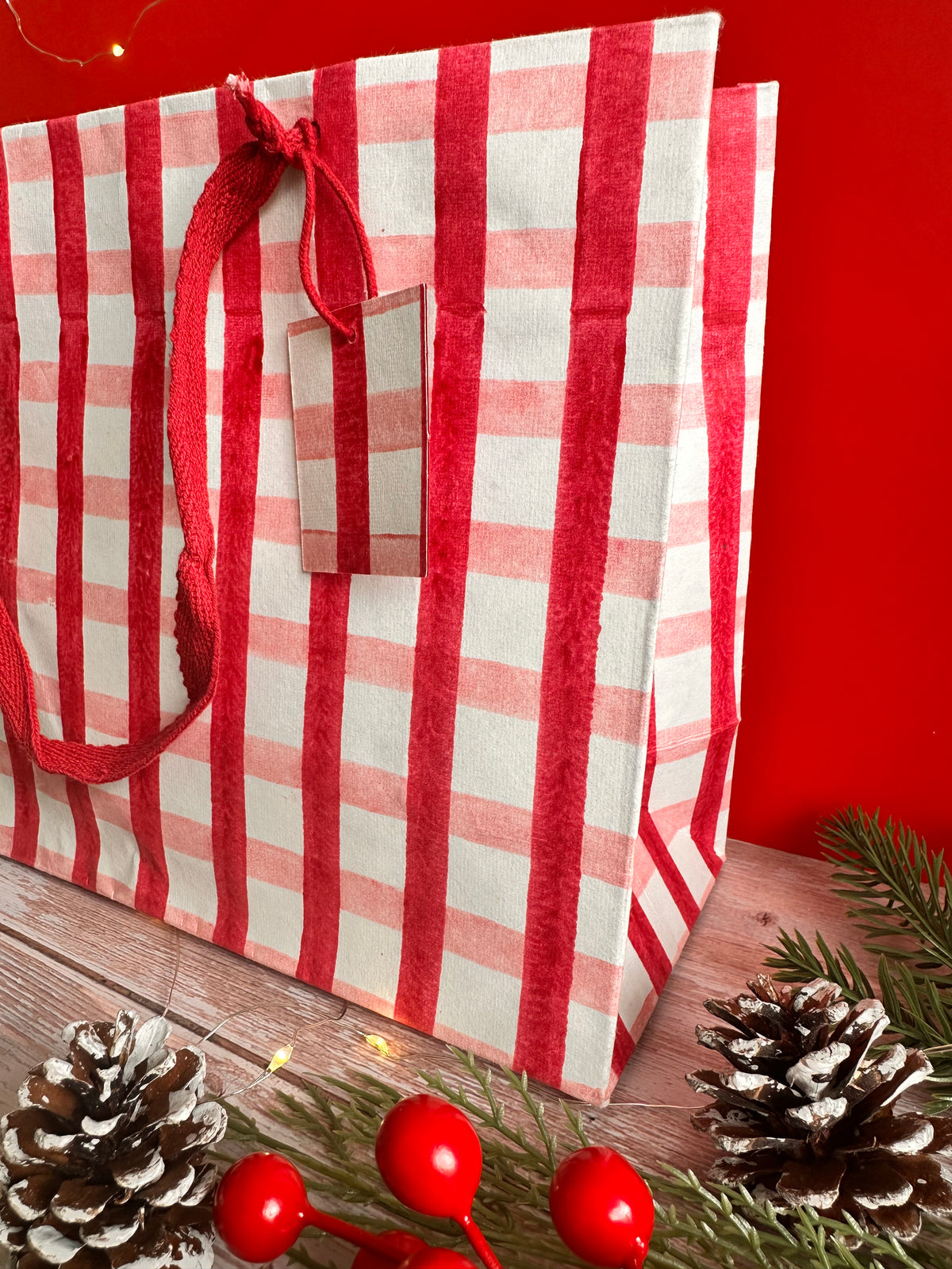 Bold Red and Pink Gingham Block Printed Medium Gift Bag