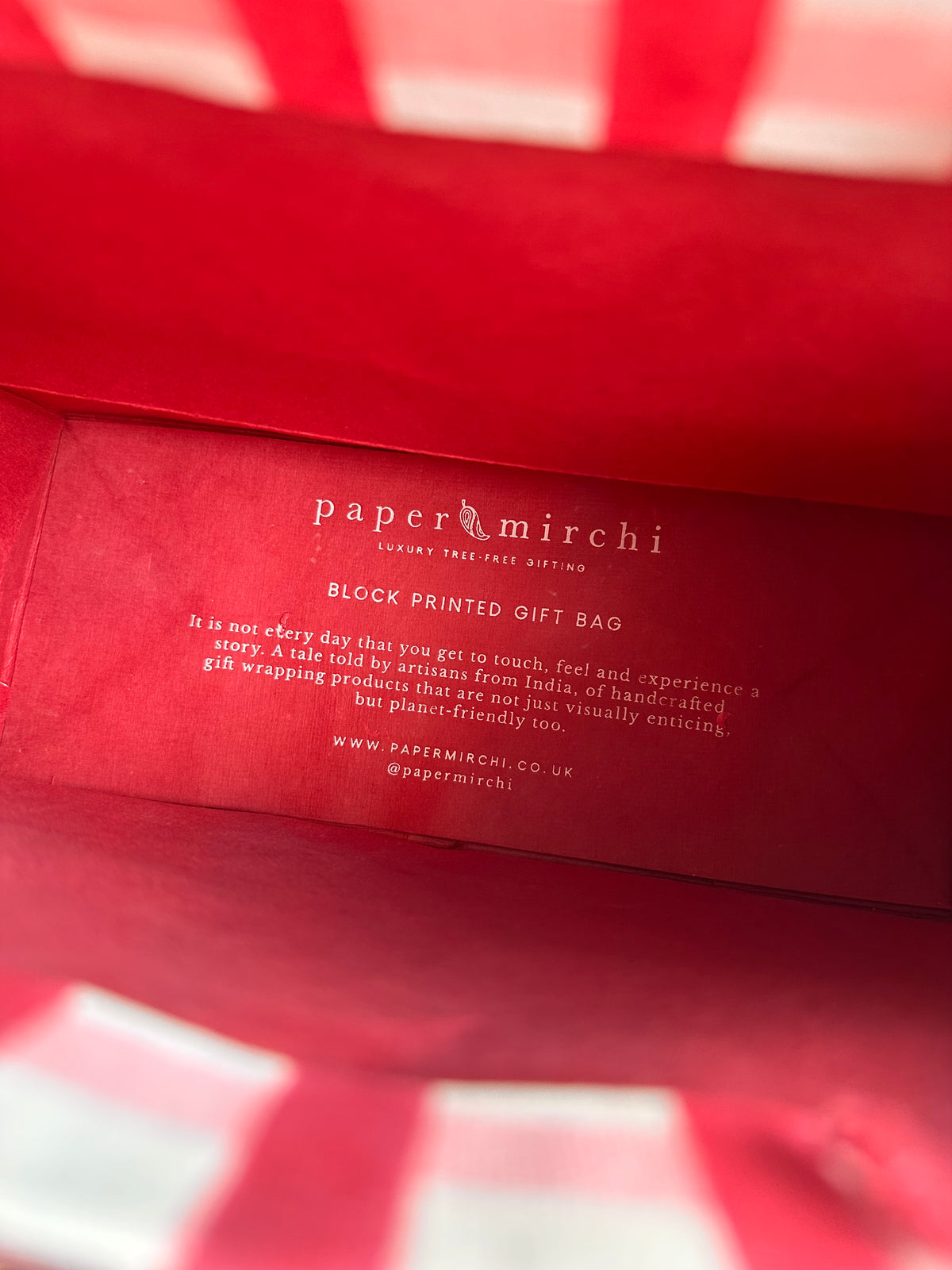 Bold Red and Pink Gingham Block Printed Medium Gift Bag